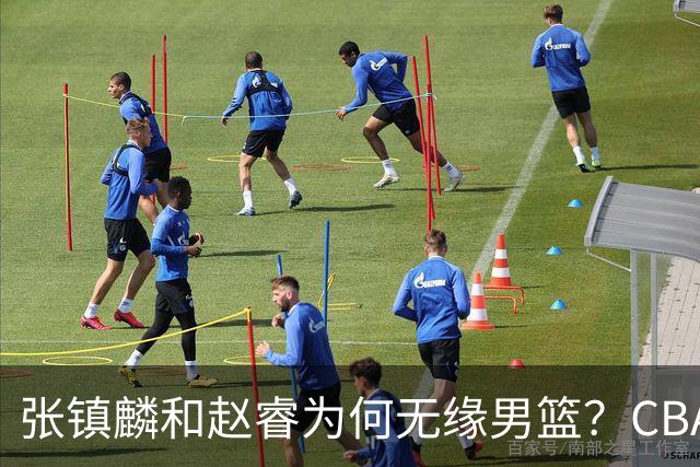 张镇麟和赵睿为何无缘男篮？CBA名记分析，道出2个原因